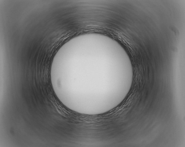 X0000113850868200909241003