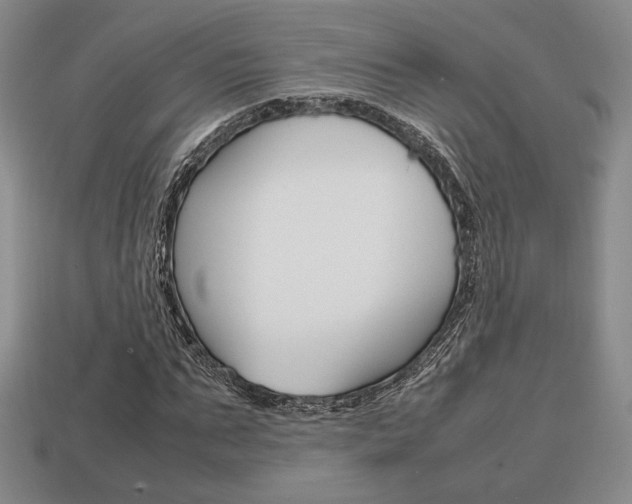 X0000113850871200909241003
