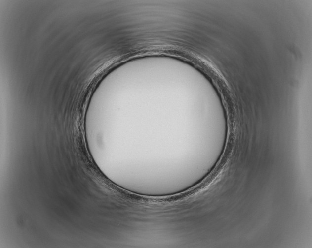 X0000113850873200909241003