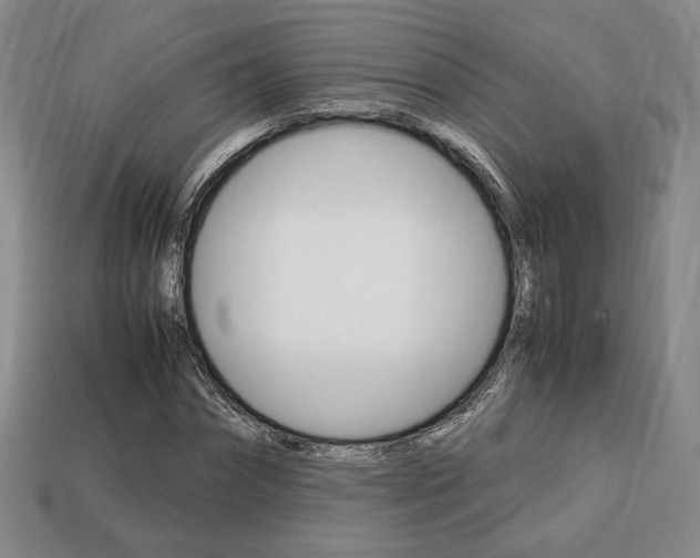 X0000113850874200909241003