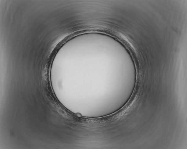 X0000113850875200909241003
