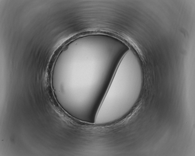 X0000113850876200909241003