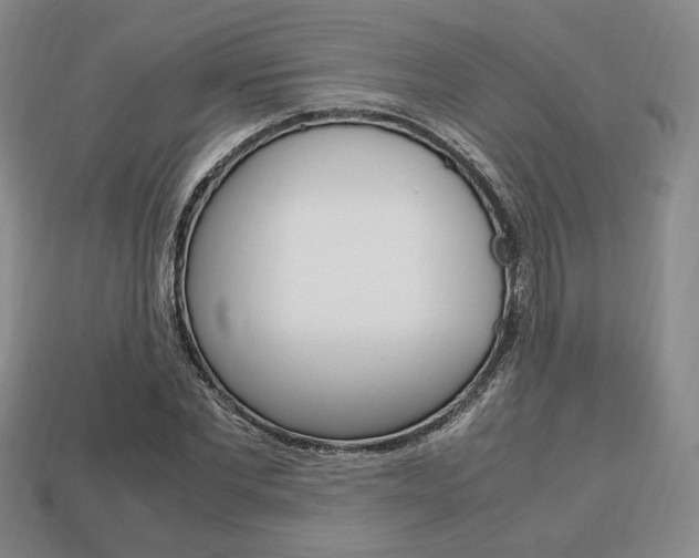 X0000113850877200909241003