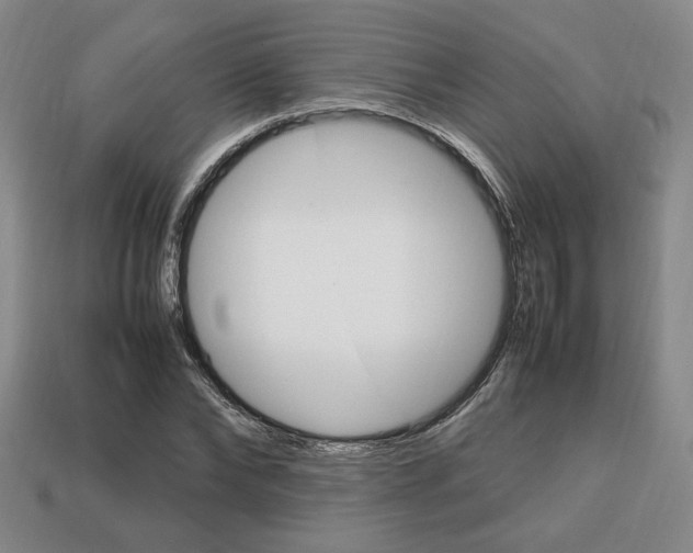 X0000113850878200909241003
