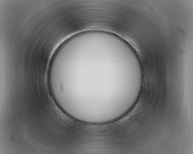 X0000113850880200909241003