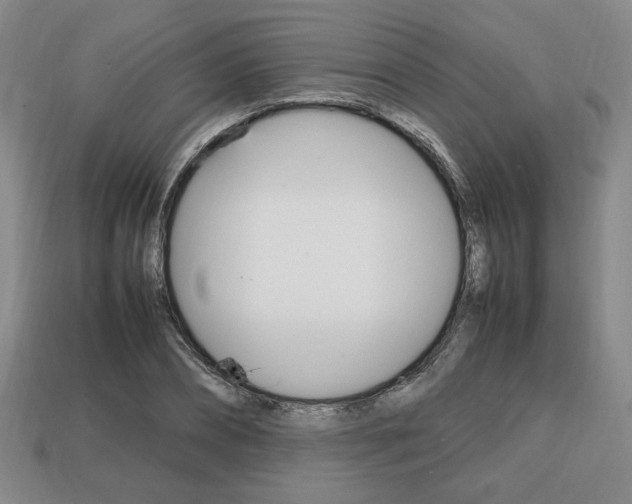 X0000113850882200909241003