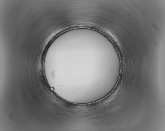 X0000113850883200909241003