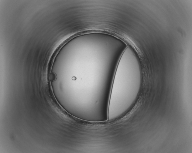 X0000113850884200909241003