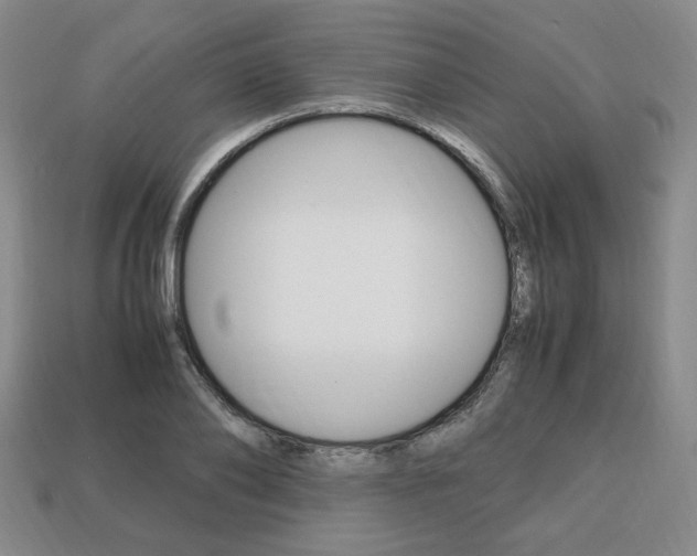 X0000113850886200909241002