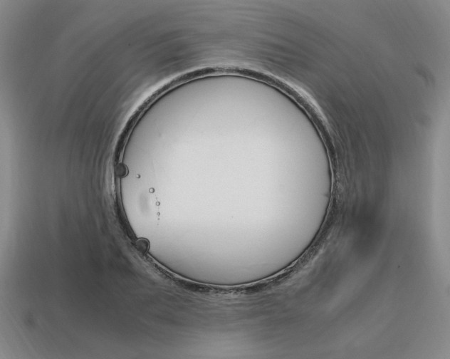 X0000113850887200909241002