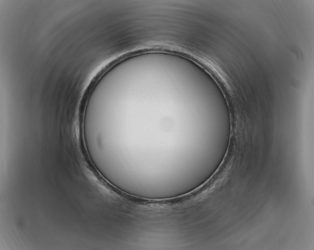 X0000113850888200909241002