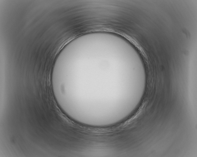 X0000113850889200909241002