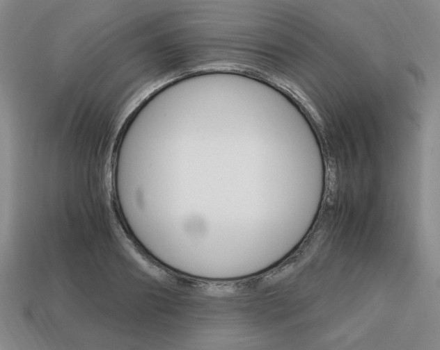 X0000113850890200909241002