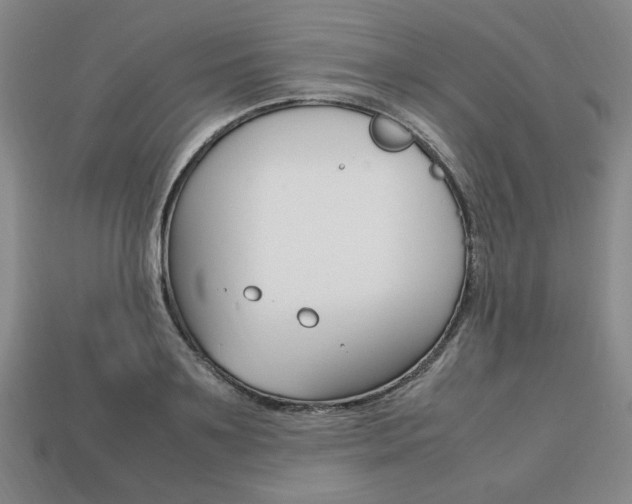 X0000113850891200909241002