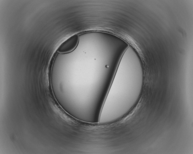 X0000113850892200909241002