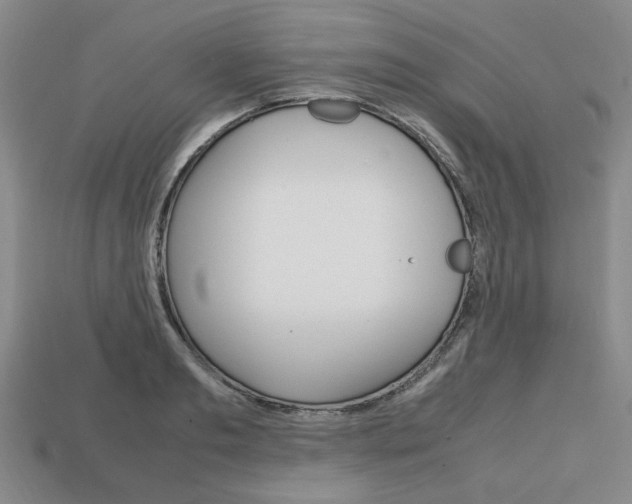 X0000113850893200909241002