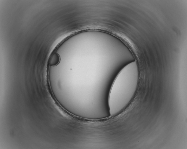 X0000113850894200909241002