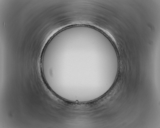 X0000113850895200909241002