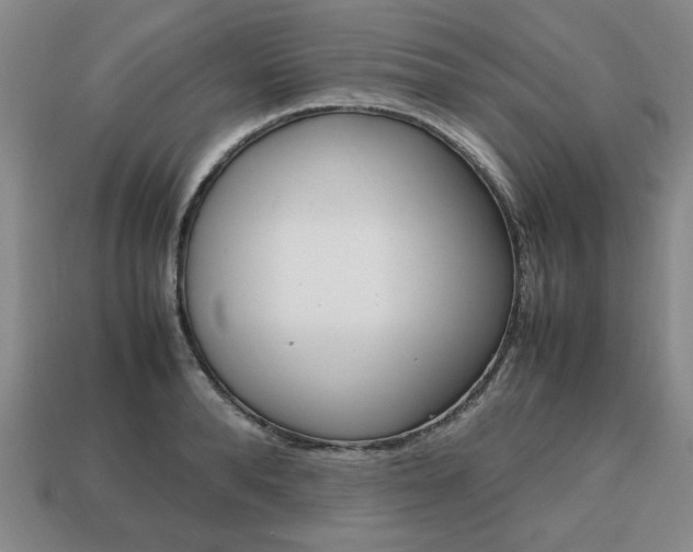 X0000113850896200909241002