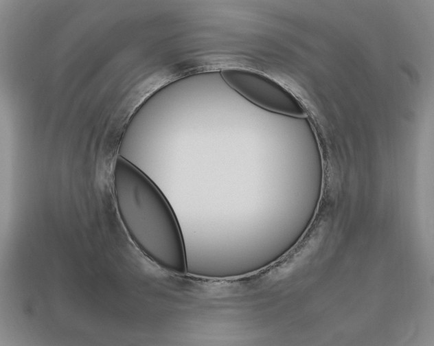 X0000113850897200909241002