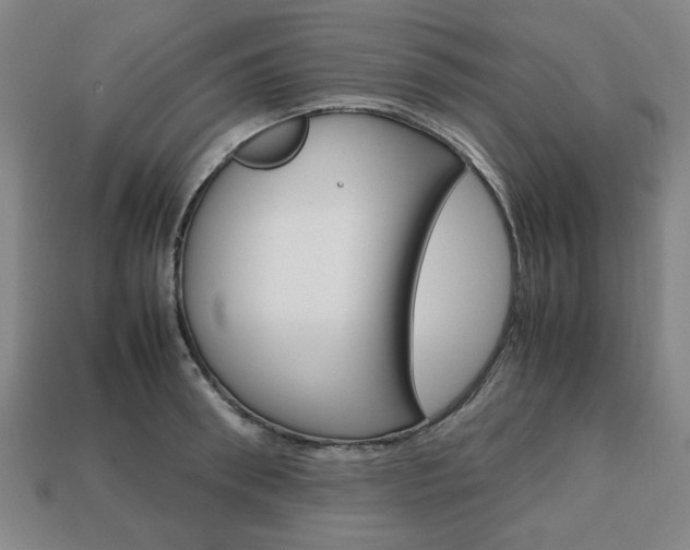 X0000113850898200909241002