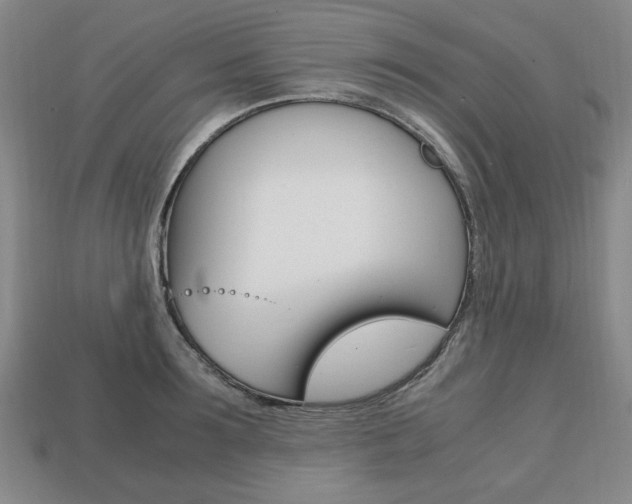X0000113850899200909241002