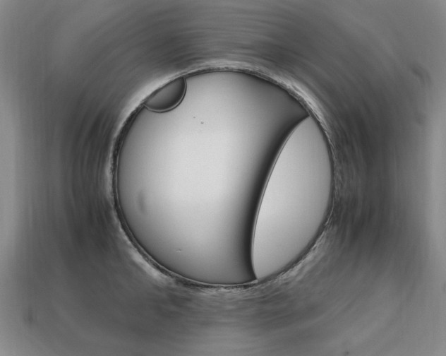 X0000113850902200909241002