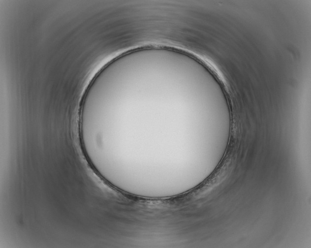 X0000113850903200909241002