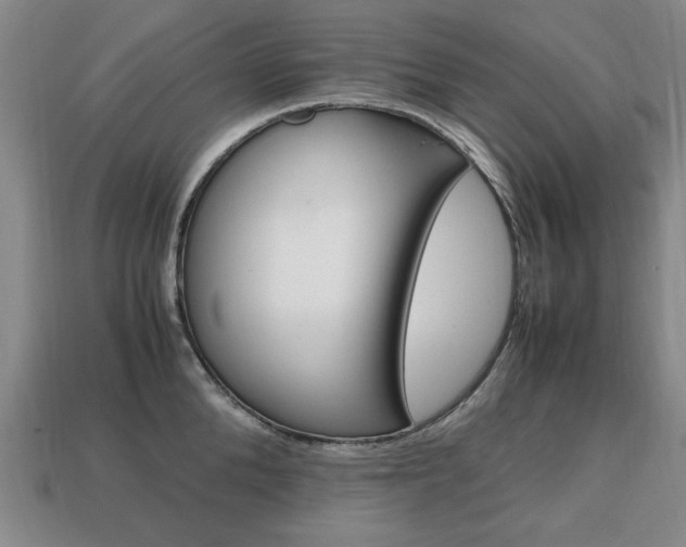 X0000113850904200909241002