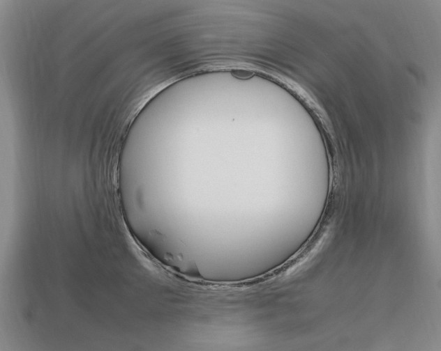 X0000113850905200909241002
