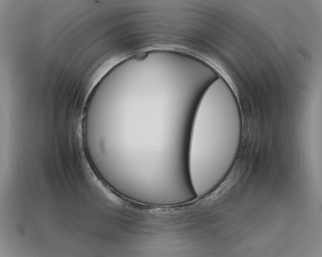X0000113850906200909241002
