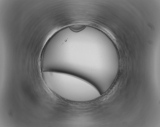 X0000113850907200909241002