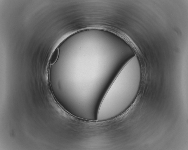 X0000113850908200909241002