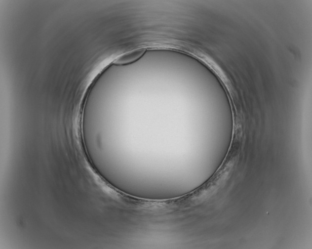 X0000113850909200909241002