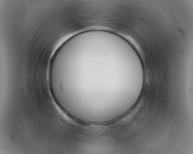 X0000113850910200909241002