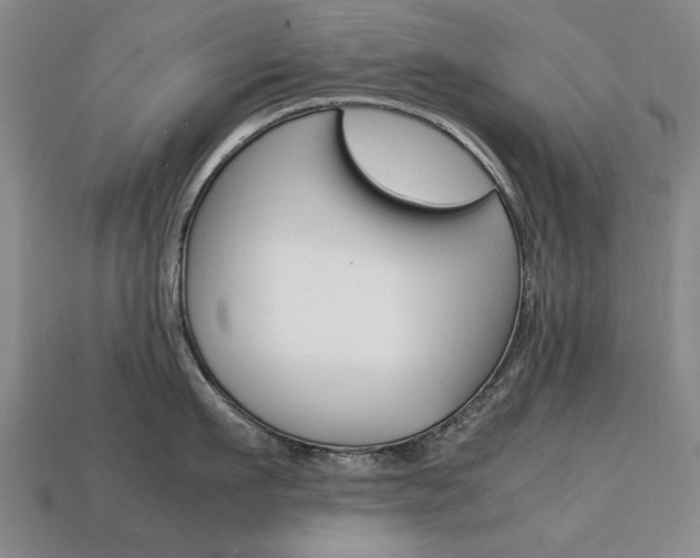 X0000113850911200909241002