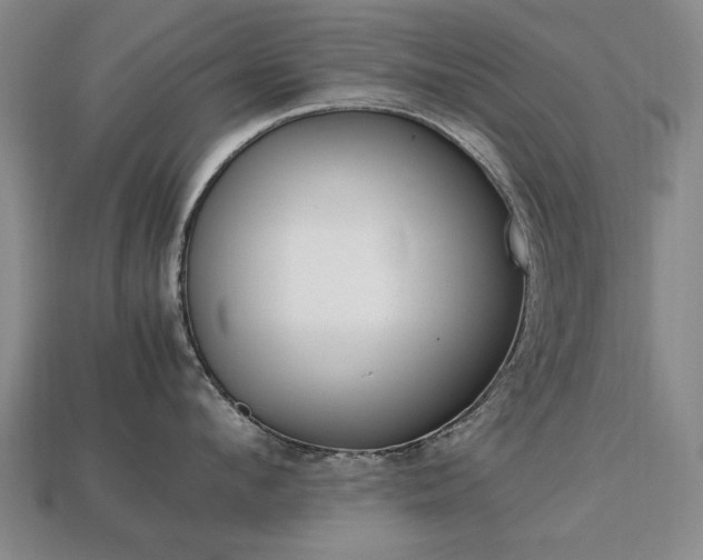 X0000113850912200909241002