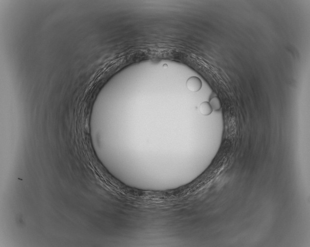 X0000113850913200909241002