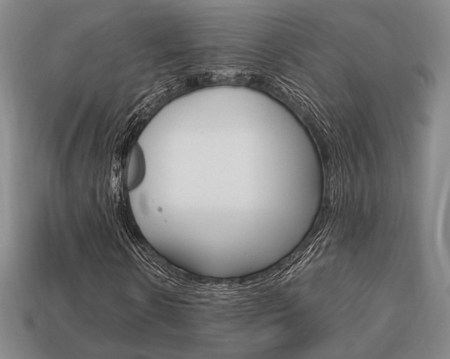 X0000113850914200909241002