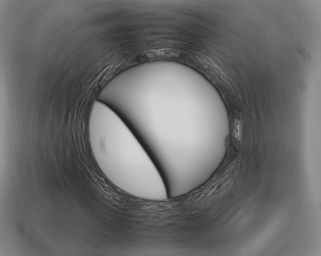 X0000113850915200909241002