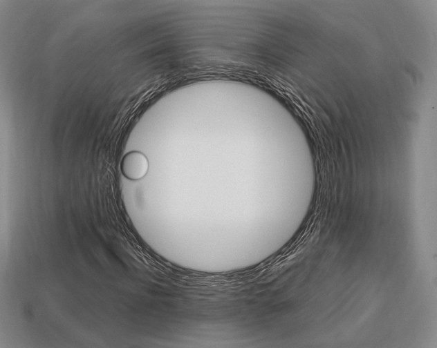 X0000113850916200909241002