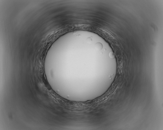 X0000113850917200909241002