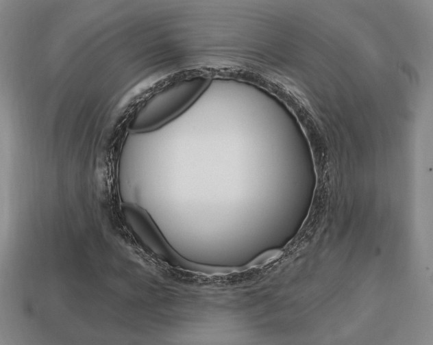 X0000113850920200909241002