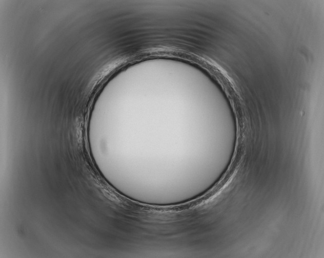 X0000113850921200909241002