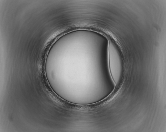 X0000113850922200909241002