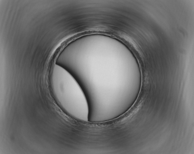X0000113850923200909241002