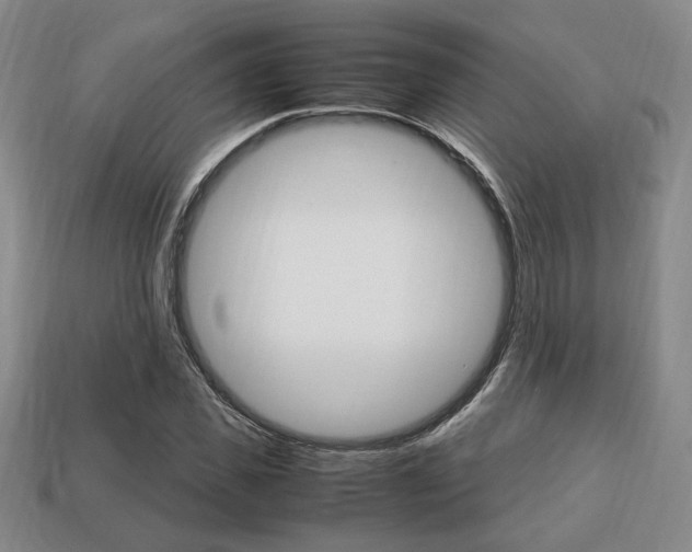 X0000113850925200909241002
