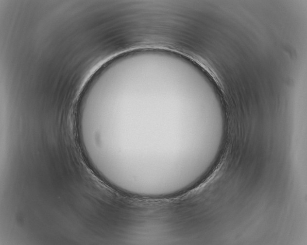 X0000113850926200909241002