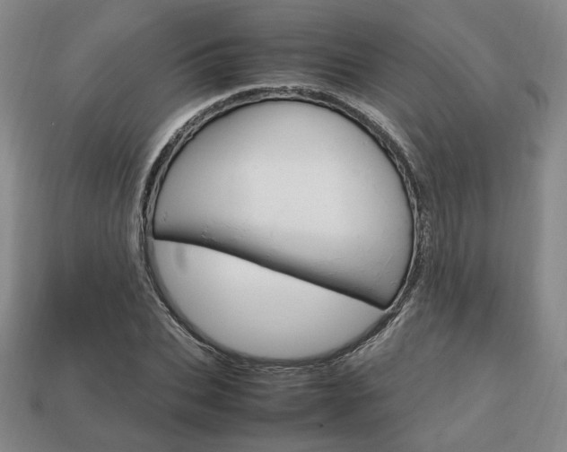X0000113850927200909241002