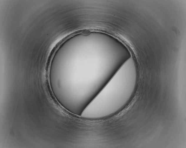 X0000113850928200909241002